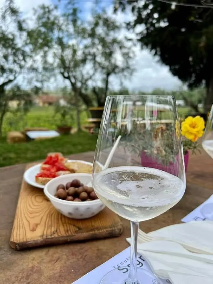 Agriturismo Tenuta Mariani Massarosa