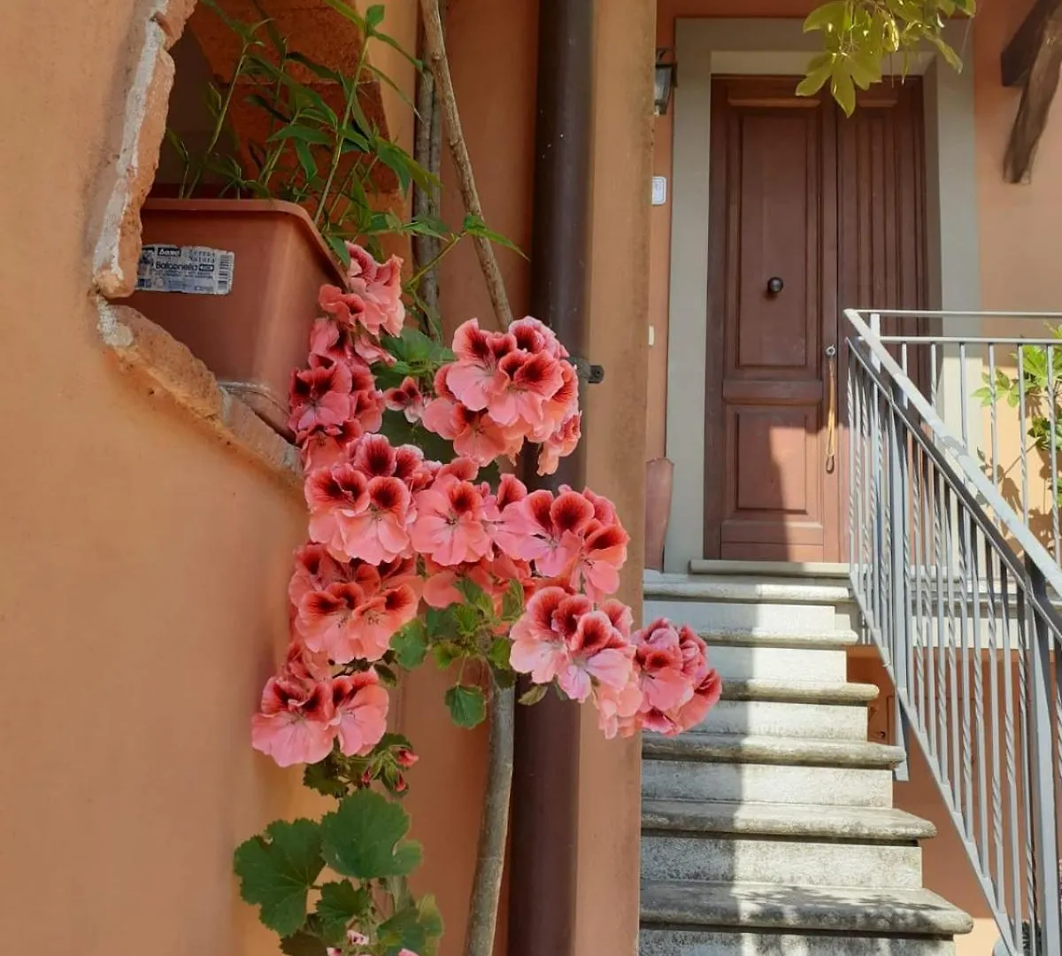 Agriturismo Tenuta Mariani Massarosa Apartmán