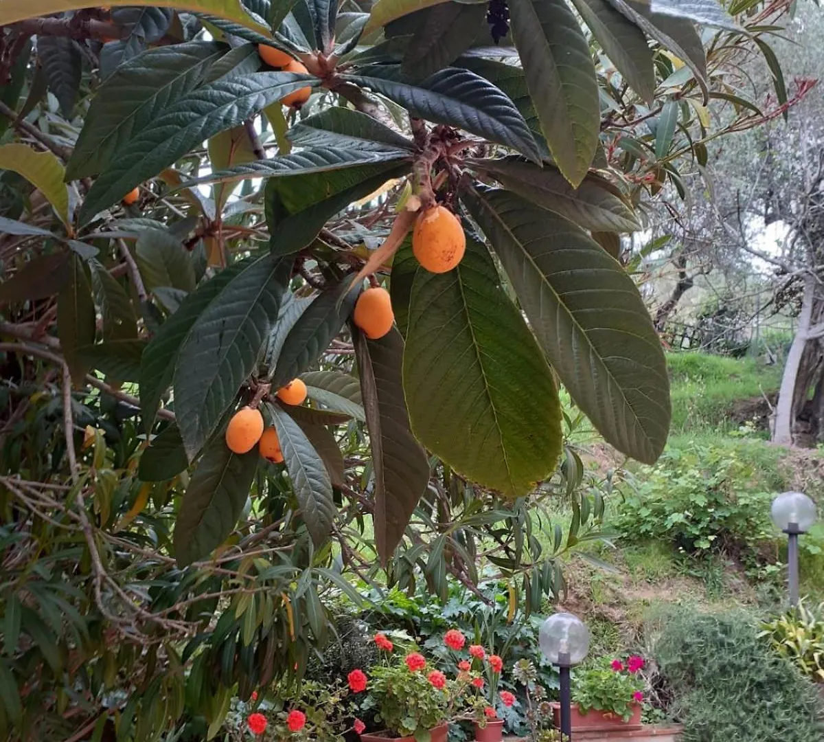 Apartmán Agriturismo Tenuta Mariani Massarosa